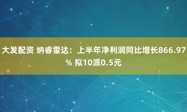 大发配资 纳睿雷达：上半年净利润同比增长866.97% 拟10派0.5元