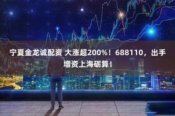 宁夏金龙诚配资 大涨超200%！688110，出手增资上海砺算！